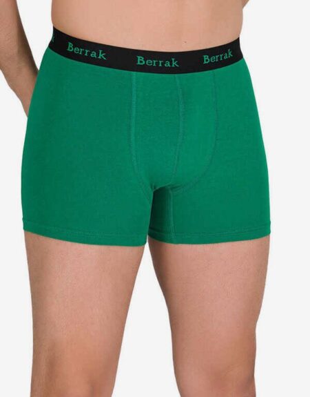berrak-4476-erkek-modal-boxer-boxer-berrak-50697-12-b