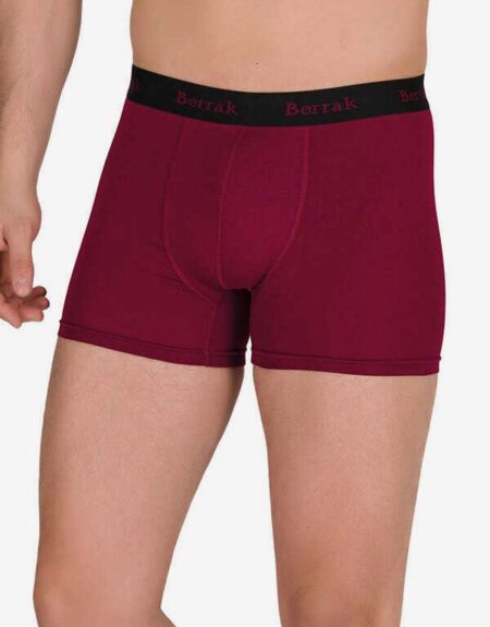 berrak-4476-erkek-modal-boxer-boxer-berrak-50697-12-b